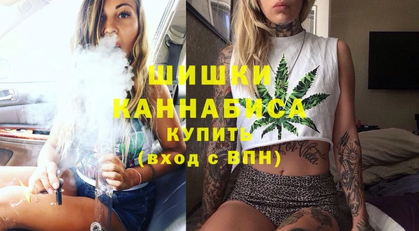 стаф Струнино