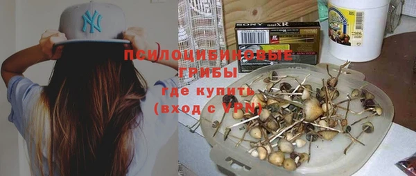 соль курить ск Строитель