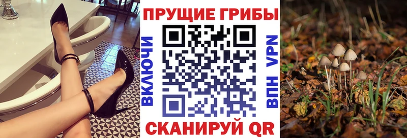 Псилоцибиновые грибы Psilocybine cubensis  цены наркотик  MEGA ССЫЛКА  Орехово-Зуево 